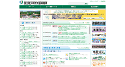 Desktop Screenshot of niye.go.jp